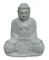 morepic-1
